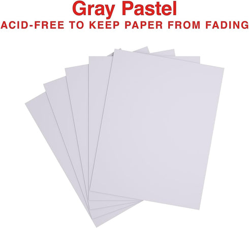678831 8 1/2-Inch 11-Inch 500/Ream (14785) Staples Pastel Colored Copy Paper X Gray