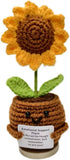 QHGJUTKI Emotional Support Crochet Flowers with Card Positive Gifts for Mom Friend Teacher