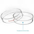 stonylab 5-Pack Glass Petri Dish with Lid, Borosilicate Clear Autoclavable Cell Culture Dish for Laboratory