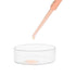 EISCO Petri Dish, 2" (50mm) Beaded Edges, Easy to Sterilize Borosilicate Glass for Repeated Use