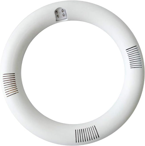 T9 LED Circline Light Bulb, 8 Inch 1600LM LED Circular Light, 13W Clear Cover 6000K Daylight Replacement for FC8T9/CW 22-Watt Fluorescent Circular Bulb(FC8T9/CW), Ballast Bypass Required by iledlight