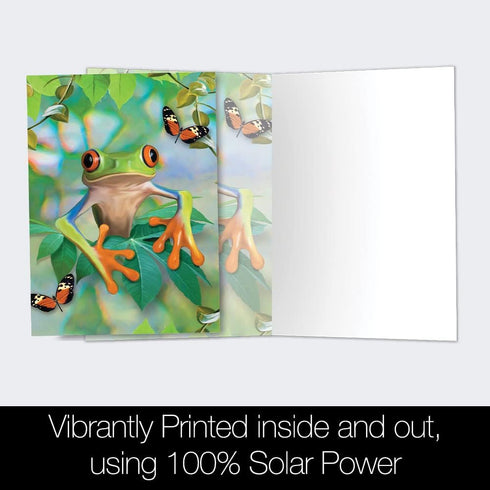Tree-Free Greetings EcoNotes 12 Count Frog Framed All Occasion Notecard Set with Envelopes, 4 x 6 Inches
