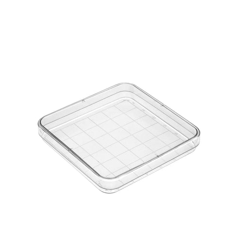 Othmro Rectangular Plastic Petri Dish 100mmx17mm, 10pcs Pipettes for Culturing Cells and Scientific Use