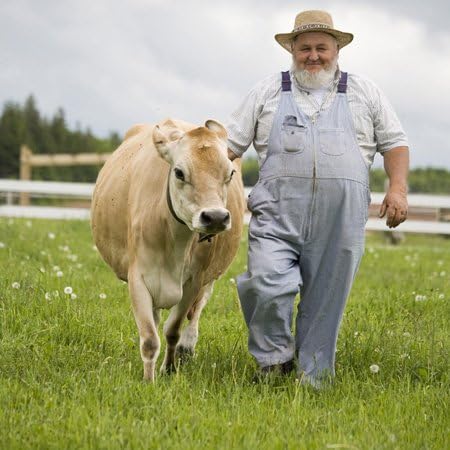 3dRose -CN09 DBR0158 6 Inch Prince Edward Island, Avonlea Village, Dairy Farmer - Dave Bartruff Ceramic Tile