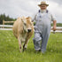 3dRose -CN09 DBR0158 6 Inch Prince Edward Island, Avonlea Village, Dairy Farmer - Dave Bartruff Ceramic Tile