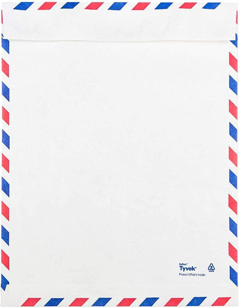 JAM PAPER Tyvek Tear-Proof Open End Catalog Envelopes - 9 x 12 - White Airmail, 50/Pack