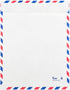 JAM PAPER Tyvek Tear-Proof Open End Catalog Envelopes - 9 x 12 - White Airmail, 50/Pack