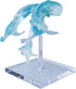 EVOTECH SCIENTIFIC Human Brain Ventricles Model for Medical Anatomy Teaching Learning, Students Learning Education
