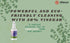50% 1 Alliance Chemical Vinegar - Quart - Industrial Strength for Cleaning and More