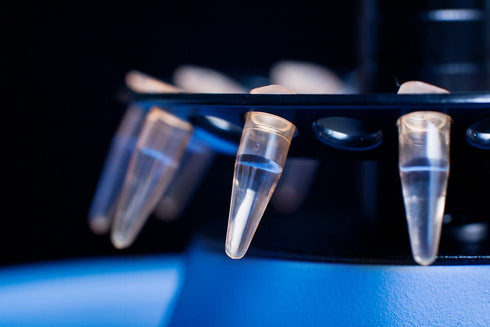 0.2ml Microcentrifuge Tubes 1000 Pieces, EO Sterilized Plastic Small Vials for Sample Storage