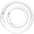 Celiwace FC8T9/CW 22W and FC12T9/CW 32W Cool White Set, 8 inch T9 22