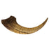 Pumnao Fossilized Teeth and Claws of Various Prehistoric Dinosaurs, Megalodon Shark Teeth, and High-Fidelity Replicas