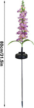 Solar Outdoor Lights Violet Flower Garden Lights Waterproof Led Lights Hyacinth Decorative Lights for Yard, Pathways