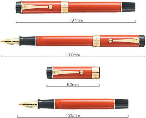 Jinhao 100 Fountain Pen, Classic Celluloid Style, #6 Nib Smooth Writing Instrument with Refillable Converter and Pen