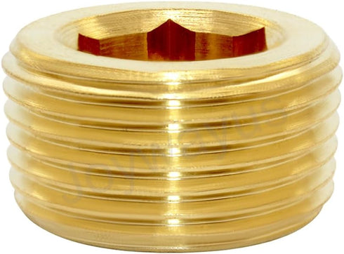 Joywayus Pack of 5 Brass Hex Counter Sunk Plug 3/4" NPT Male Pipe Fitting Set for Closing Pipe End