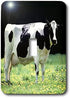 3dRose lsp_624_1 Holstein Cow Single Toggle Switch