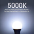 150 Watt LED Light Bulb, Super Bright A21 5000K Daylight, Non-Dimmable, 2300lm, High Lumen, UL Listed, 2-Pack