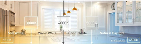 Ecosmart 8-Pack A19 - 60 Watt Equivalent, Daylight (5000K) LED Light Bulb