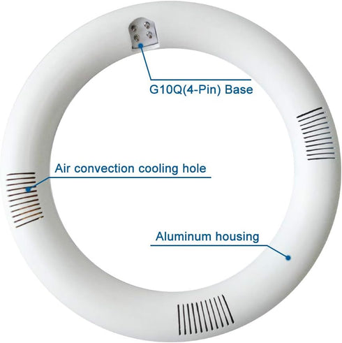 T9 LED Circline Light Bulb, 8 Inch 1600LM, 13W Clear Cover 6000K Replacement for FC8T9/CW, Ballast Bypass Required
