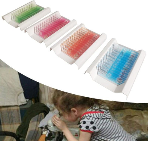 48pcs Kids Plastic Prepared Microscope Slides of Animals, Insects, Plants, Flowers Sample Specimens for Microscopes