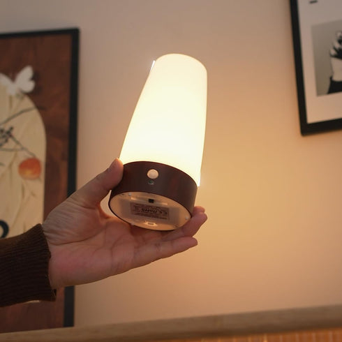 Daxng Retro LED Night Light PIR Motion Sensor Light,Activated Step Lighting Lamps,Indoor/Outdoor Battery Operated Lamp