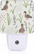 Chrobak LED Night Light,Natural Grass Landscape Wild Duck LED Night Light Plug into