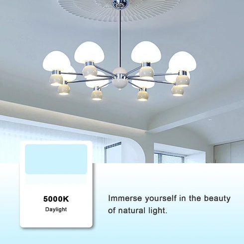 KOHEOPT G25 Bulbs,120V 5W(60W 5000K CRI85+ Bathroom,E26 Non-Dimmable (2 Pack) LED Globe Light Equivalent), Daylight