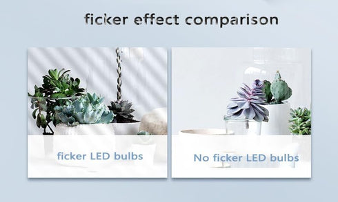 LED Light Bulb, A19 100W Equivalent, Efficient 15W, 1600 Lumens, Daylight 5000K, E26 Standard Base, Non-Dimmable, 2 Pack