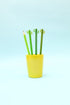Kikkerland Cactus Writing Pencil Set of 4