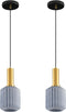AOJUNSANSAN 2 Pack Mid Century Smoke Gray Glass Pendant Light Fixture Brushed Gold