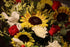 Lac et Soleil Flower Postcard Photo by MIRO Sunflowers and Flowers (Bouquets) Postcards 2 Postcards