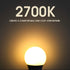 150 Bulb, 2600LM Bulbs, Dimmable A21 Bulb, 2700K, E26 2 Pack E ENERGETIC LIGHTING Watt Light Super Bright Light LED