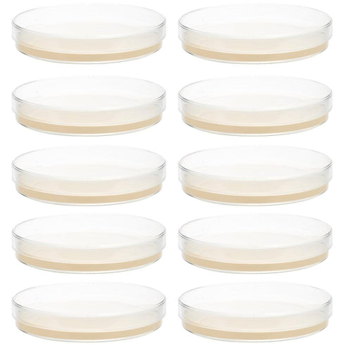 10Pcs Nutrient Agar Petri Dishes, Pre-Poured Agar Plates for Science Project Kit, Supplies for Students