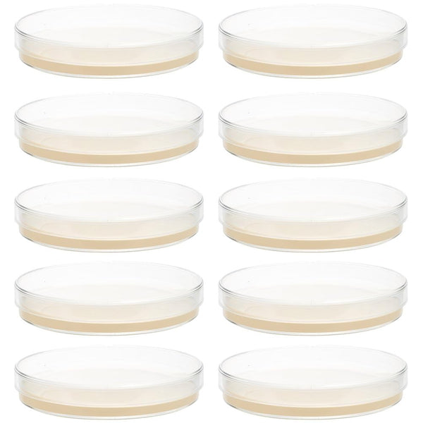 10Pcs Nutrient Agar Petri Dishes, Pre-Poured Agar Plates for Science Project Kit, Supplies for Students
