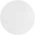 Omicron 133047 Borosilicate Glass Fiber Binder Free Filter, 1.2 µm, 47 mm (Pack of 100)
