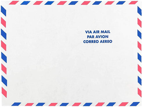JAM PAPER Tyvek Tear-Proof Open End Catalog Envelopes - 9 x 12 - White Airmail, 50/Pack