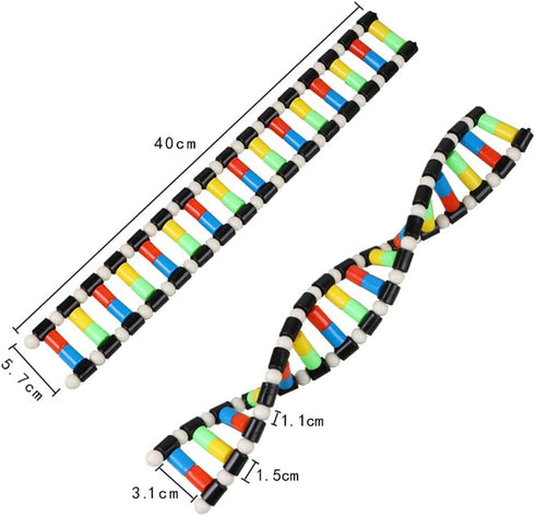 iplusmile DNA Double Helix Structure Models Kit Biological Science Popularization Teaching Aid for DNA Assembling