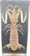 GFAZXDS Penaeid Shrimp Specimen Real Marine Animal Shrimp Specimen Resin Desk Paperweight Science