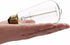 Bulbs 25W Bulb Bulb 2700K (6 Pack /110v) Edison Light - Thomas Edison Light Style - Incandescent Clear Glass Vintage