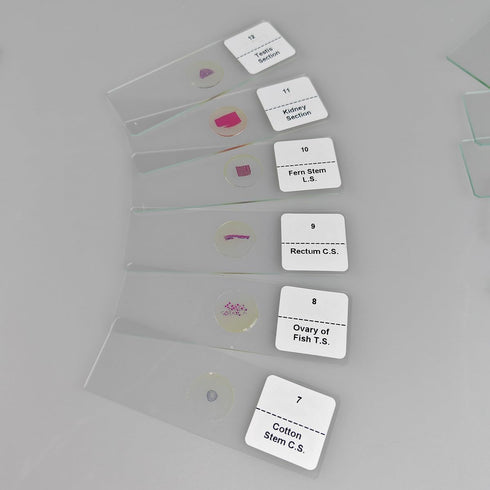 GEEFUNTECH 30 Pcs Microscope Slides Prepared Biology Specimen Lab Sample with Insects Plants Science Learning Home