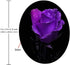 Round Mouse Pad with Amazing Purple Rose and Black Background, 7.9 x 7.9 x 0.12 Inch, Office Present