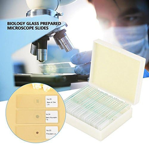 Prepared Microscope Slides 25pcs, Biology Glass Lab Specimens for Basic Science Education with Labels and Case