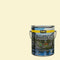Rodda Paint CASCADIA XL Exterior Satin Paint & Primer in One, 1-Gallon,
