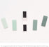 Set of 5 Monolike Magnetic Bookmarks in Emerald