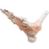 HUBERY MODEL Foot Joint Model Human Foot Ankle Joint Model with Ligament Medical Science