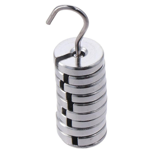 Durable Silver Lab Slotted Mass Set with Hanger and Case, 10g Each, High Quality Chromium-Plated Metal Slotted Weights