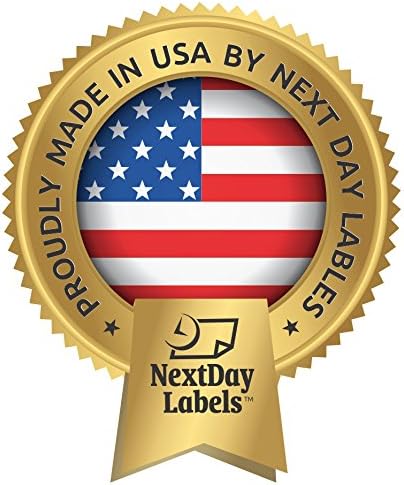 NextDayLabels #9 Double Window Security Envelope (Regular Gum - 500 Per Pack)
