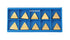 Accusize Industrial Tools TPG32(TPGN1603) Tin Coated Carbide Inserts, T Shaped, 10 Pcs/Box, 2127-1029x10