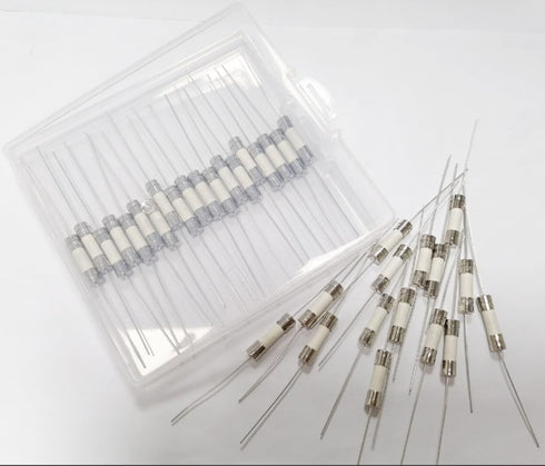 250A250V Fuse, 250A Fuses, Ceramic Lead Fuse, Microtemp Thermal Ceramic Tube 250MA250V (20 Pcs)
