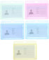 STOBOK Heavy Duty ID Card Badge Holder - Horizontal Plastic Name Tag Work Permit Card - 5pcs